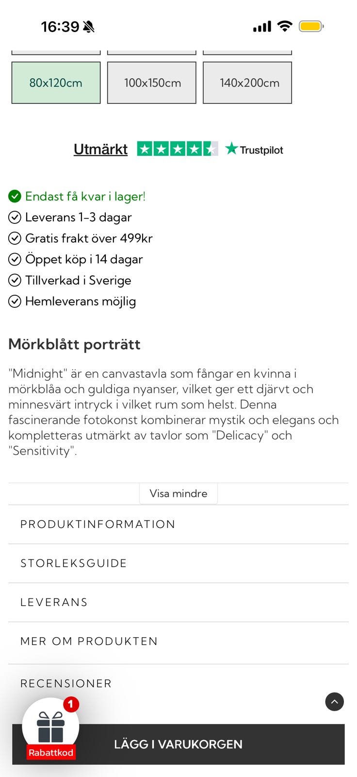 Galleribild