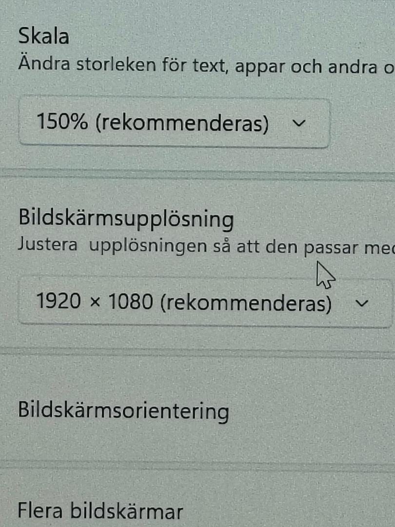 Galleribild