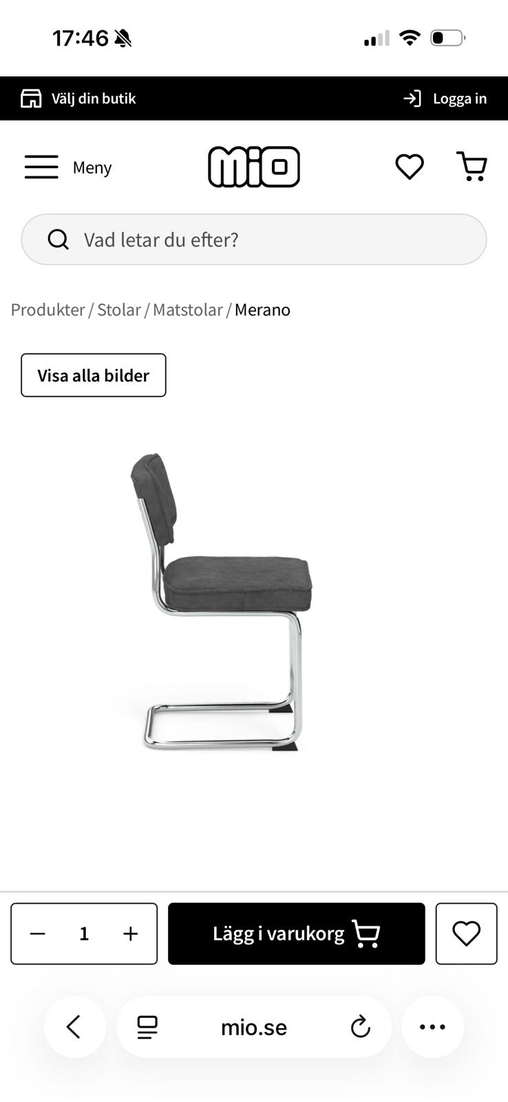 Galleribild