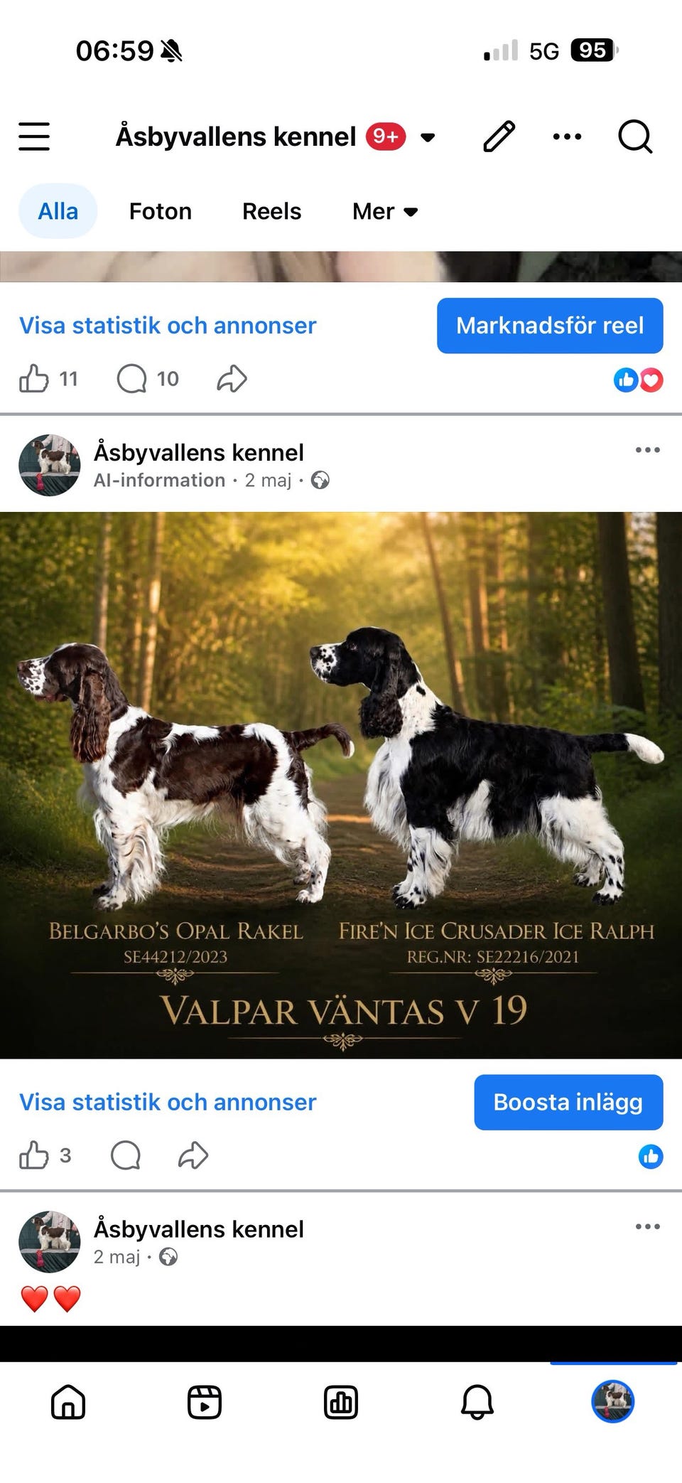 Galleribild