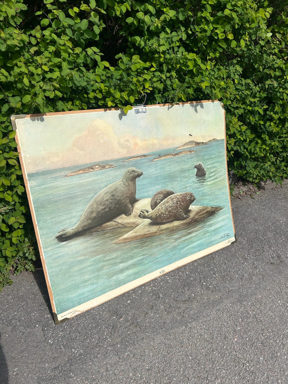 Galleribild