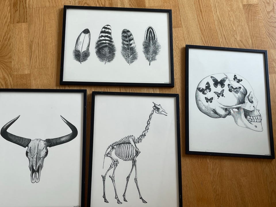 Galleribild