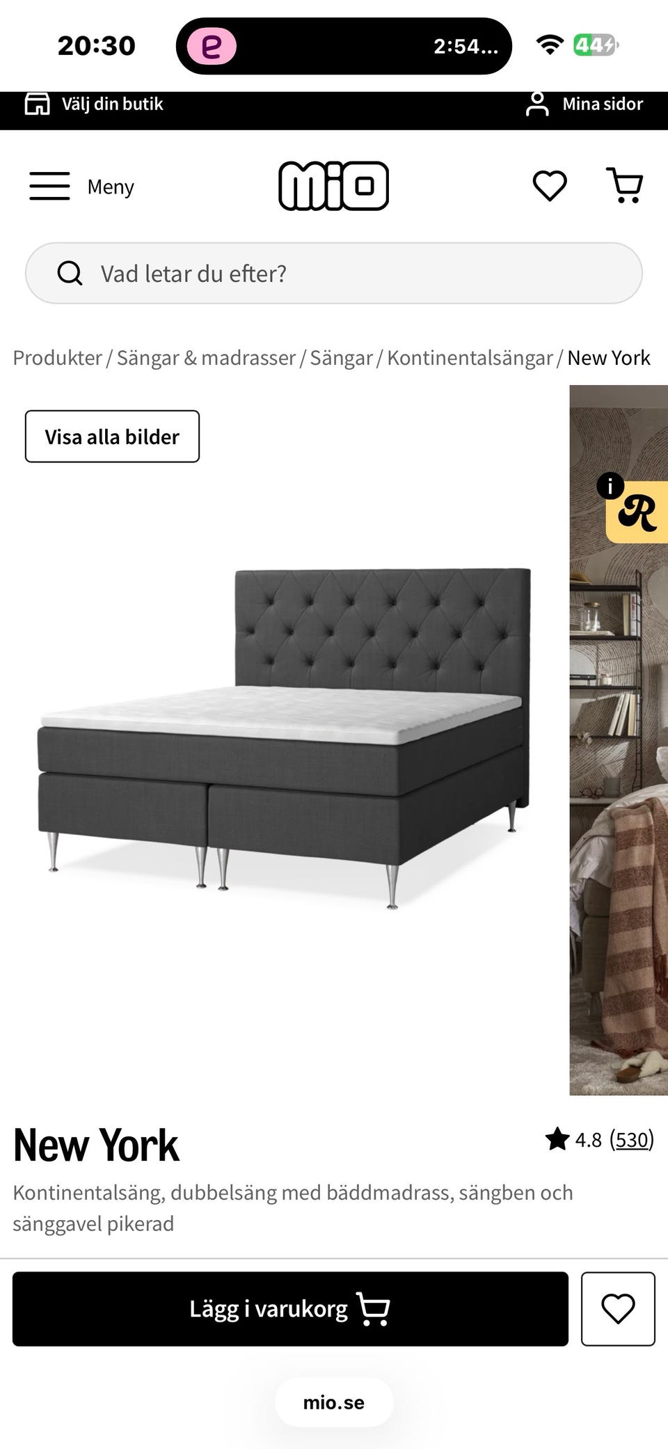 Galleribild