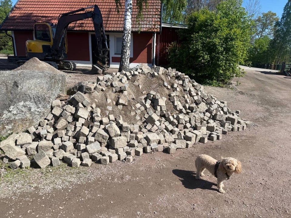 Galleribild