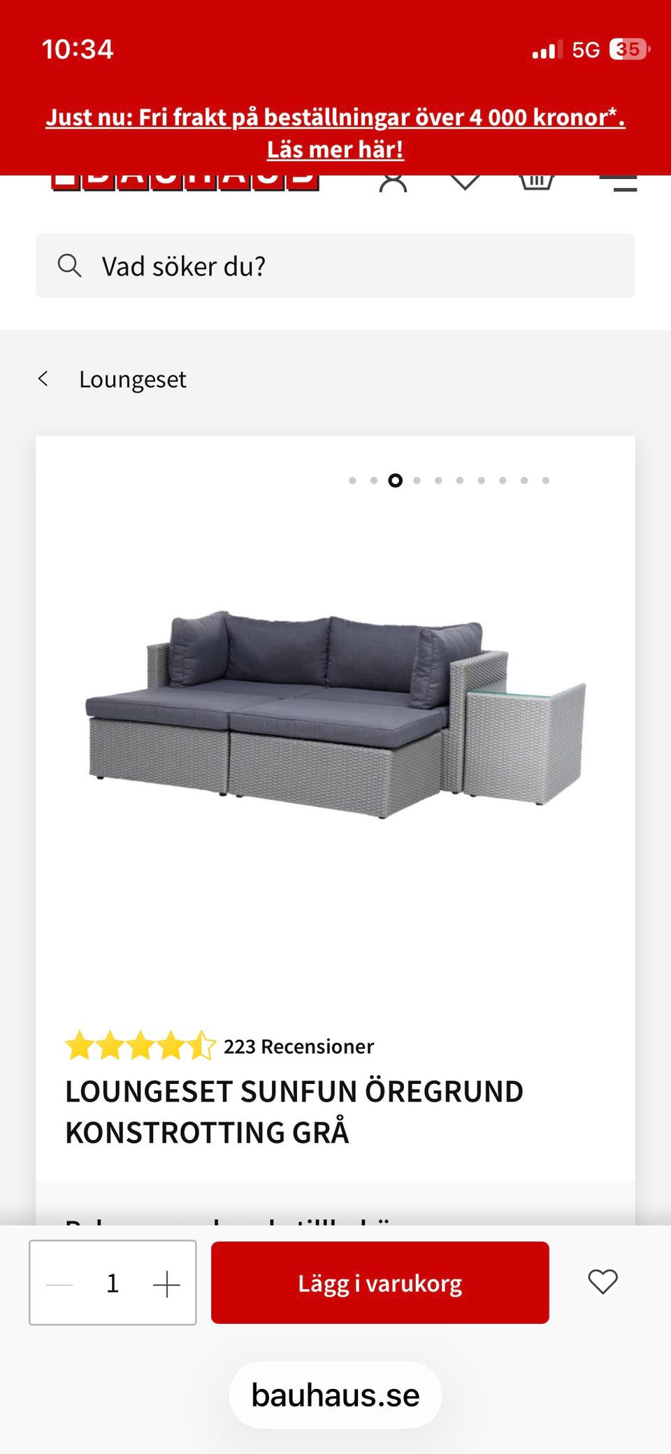 Galleribild