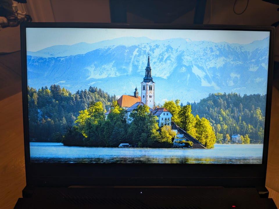 Galleribild