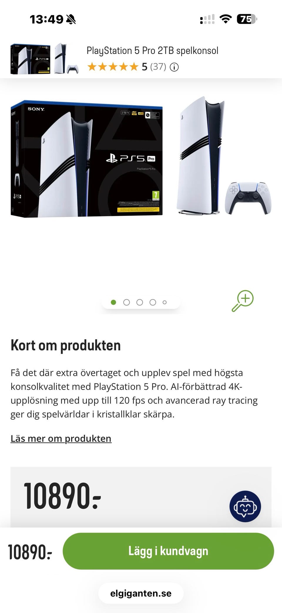 Galleribild