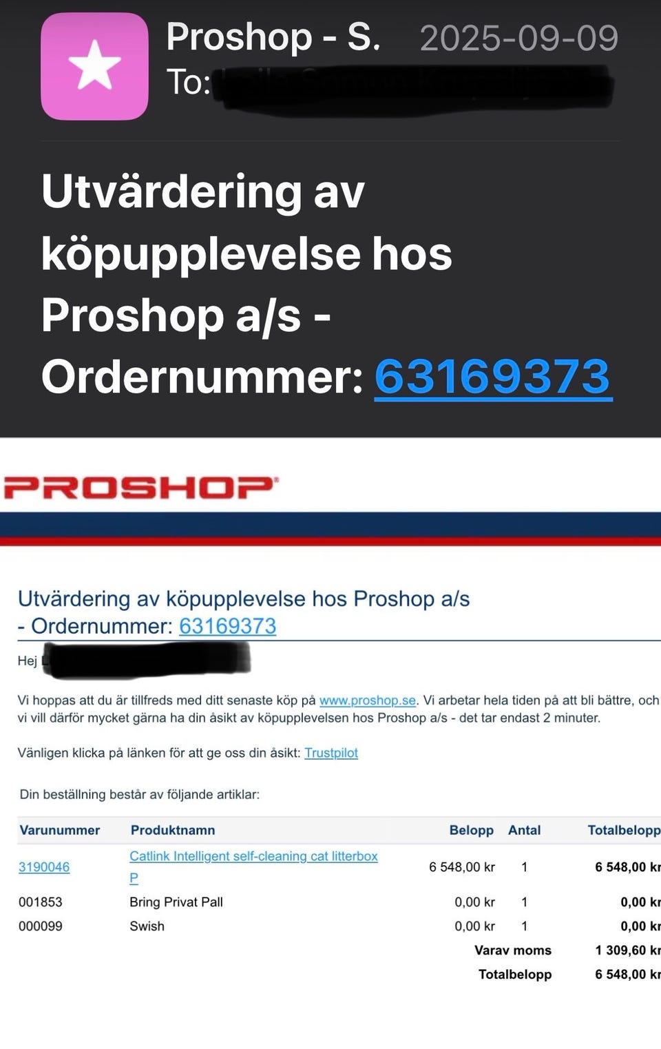 Galleribild