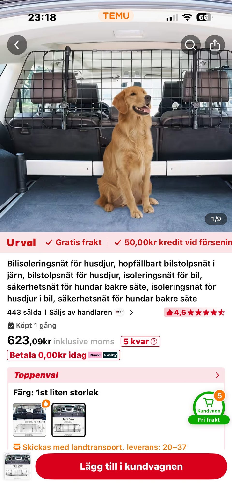 Galleribild