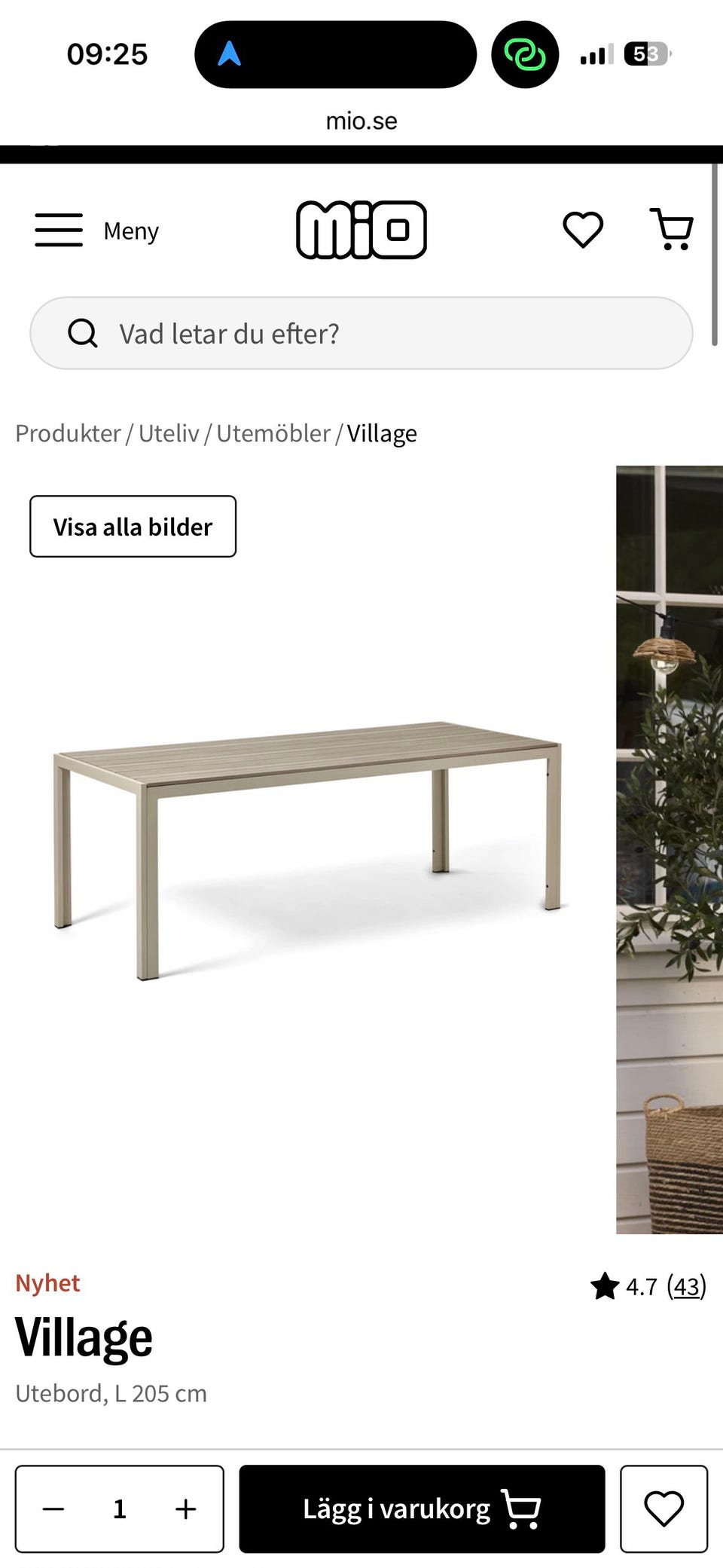 Galleribild