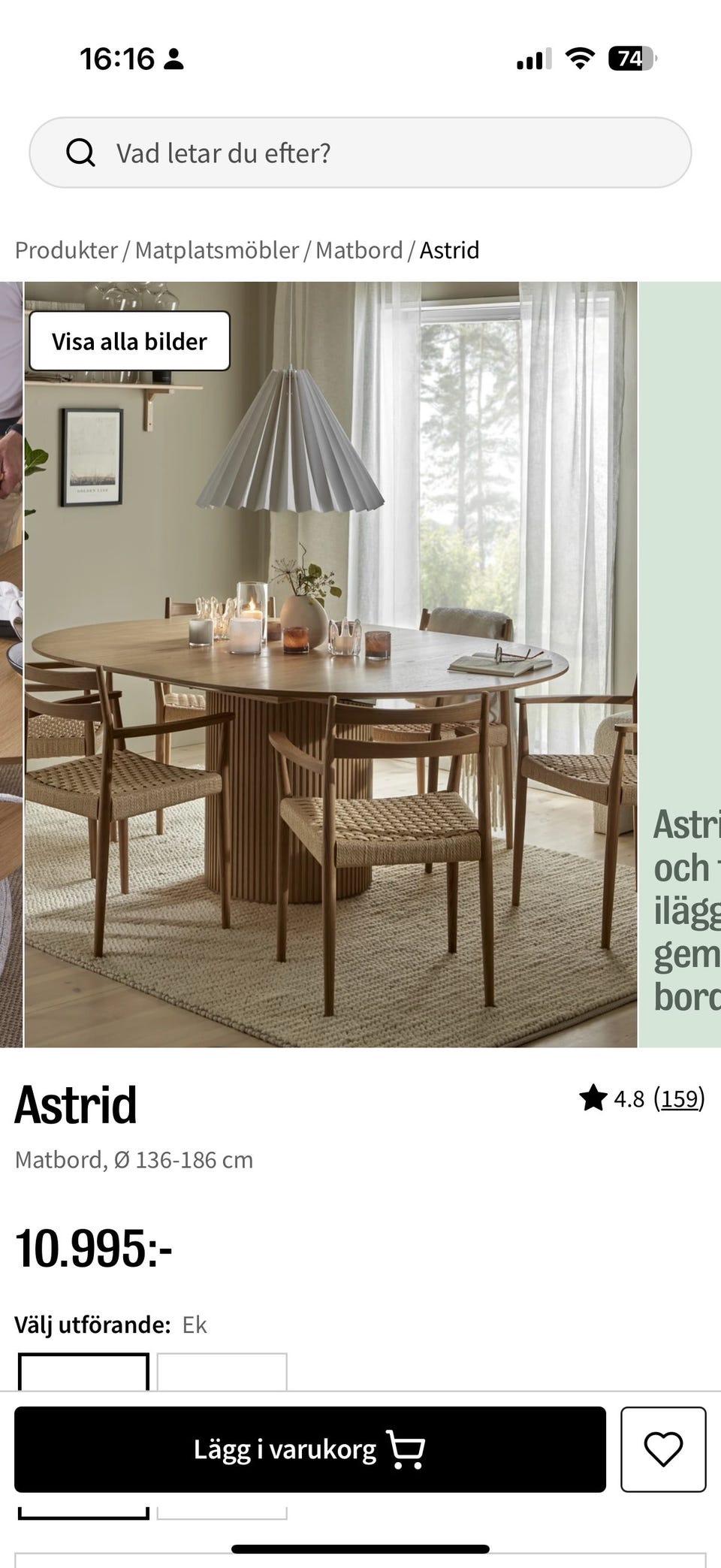 Galleribild