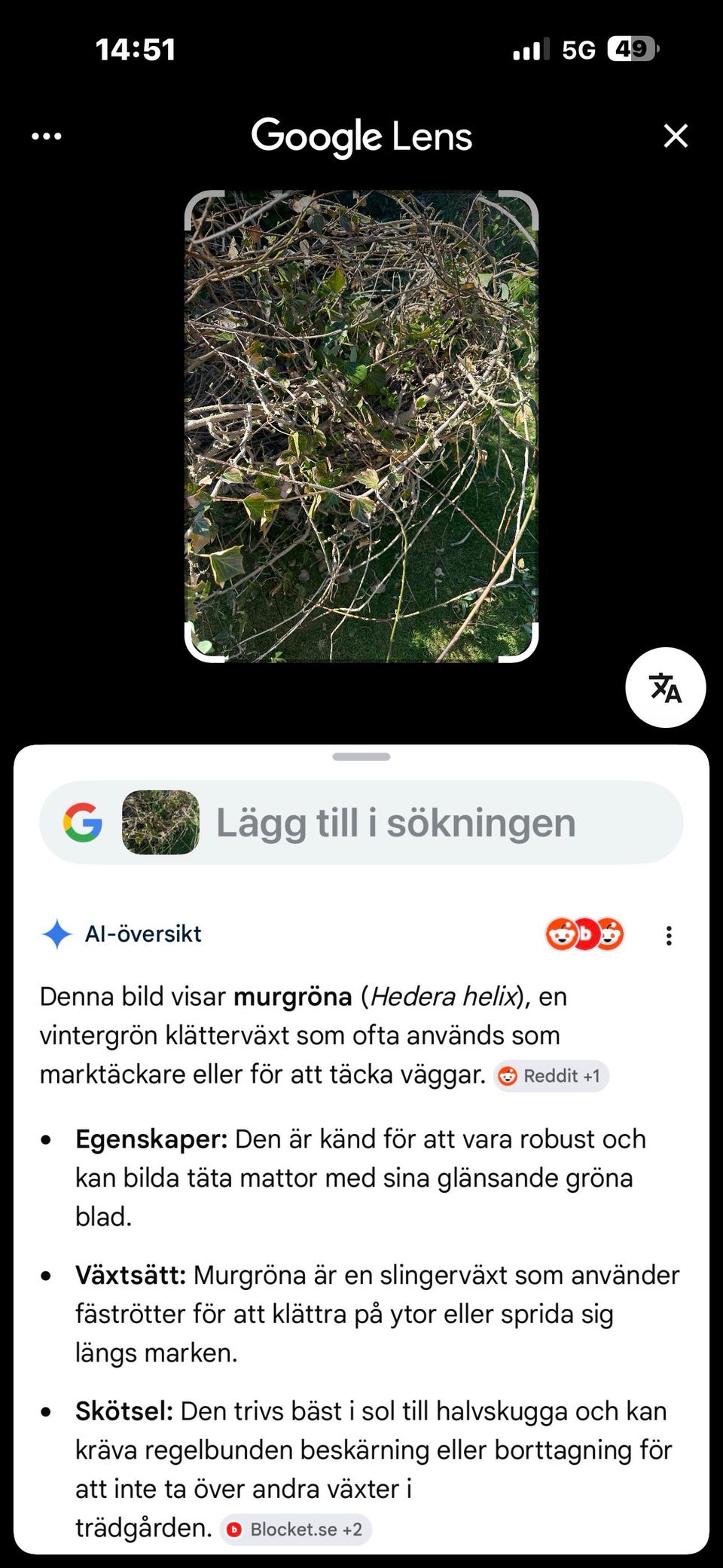 Galleribild