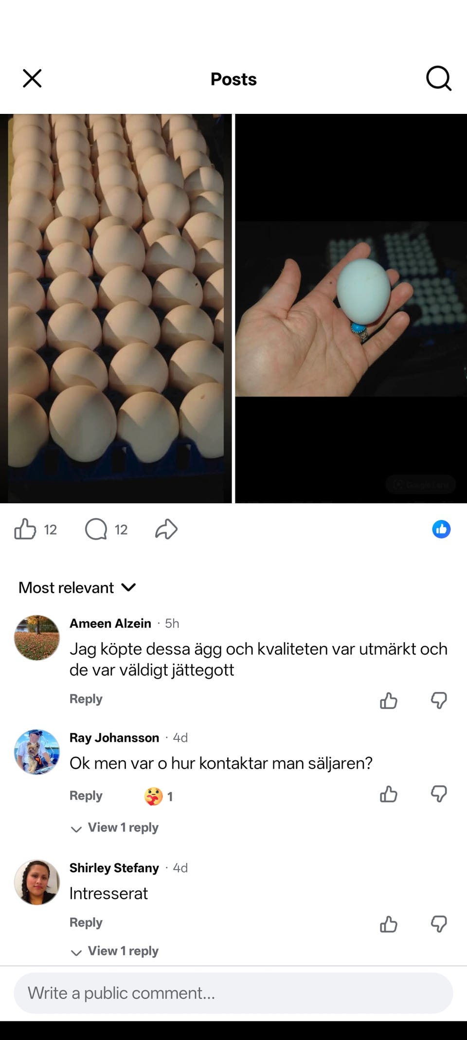 Galleribild