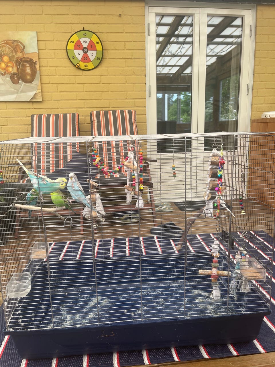 Galleribild