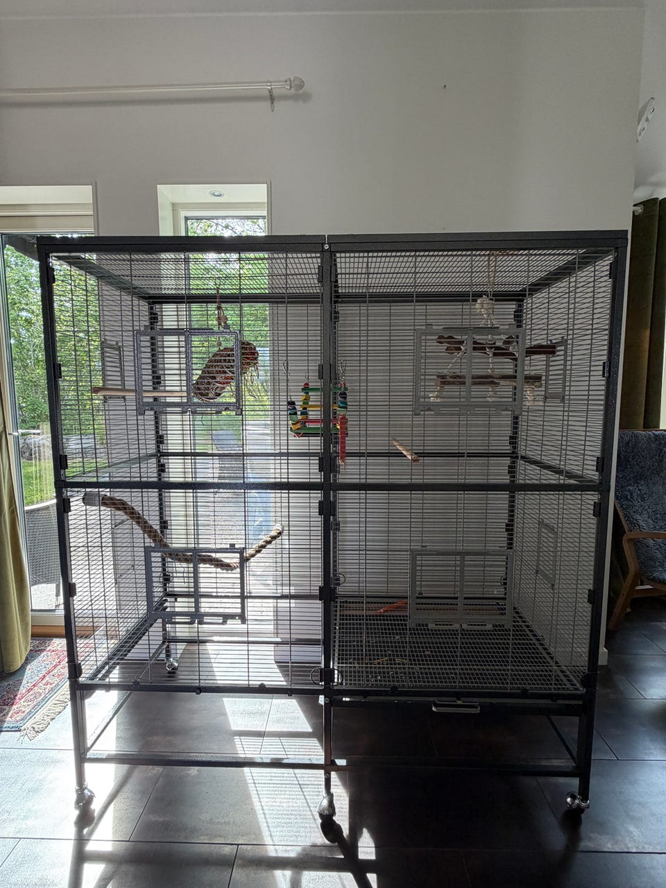 Galleribild