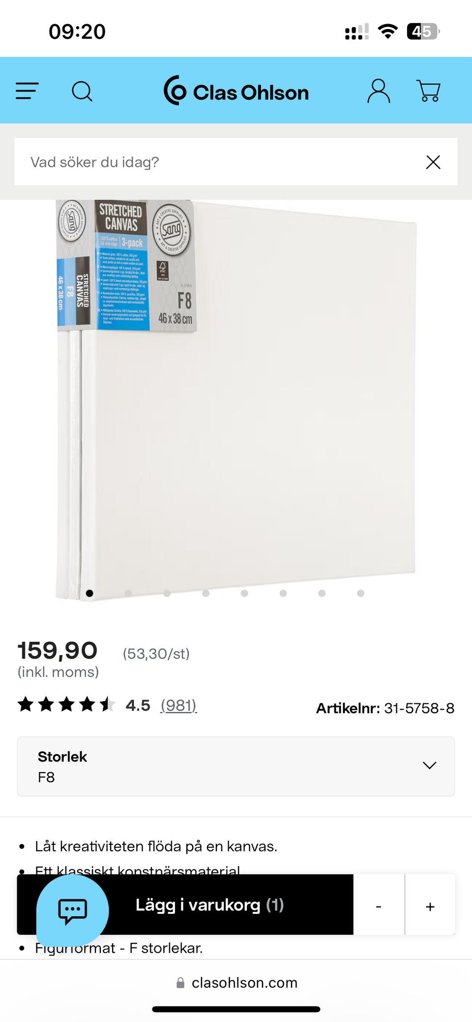 Galleribild