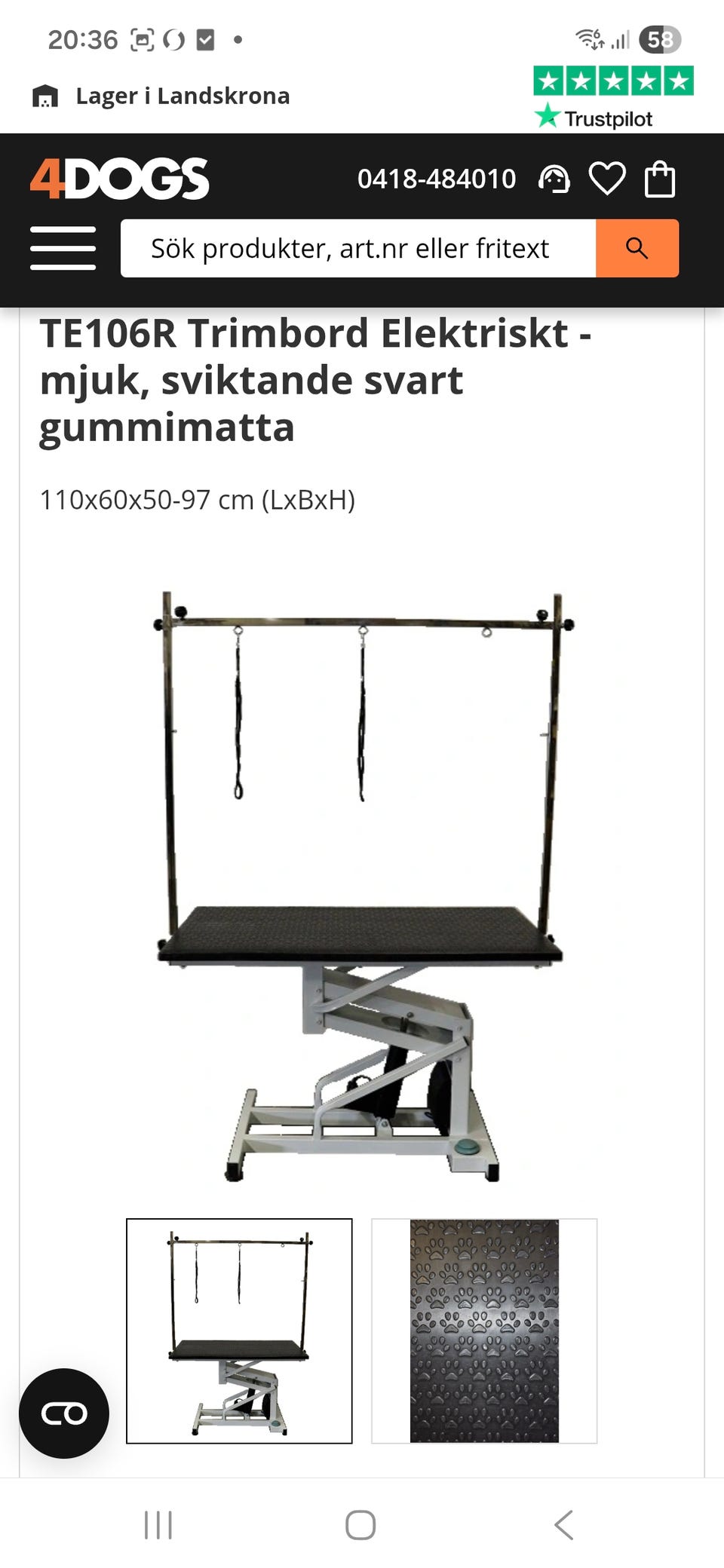 Galleribild