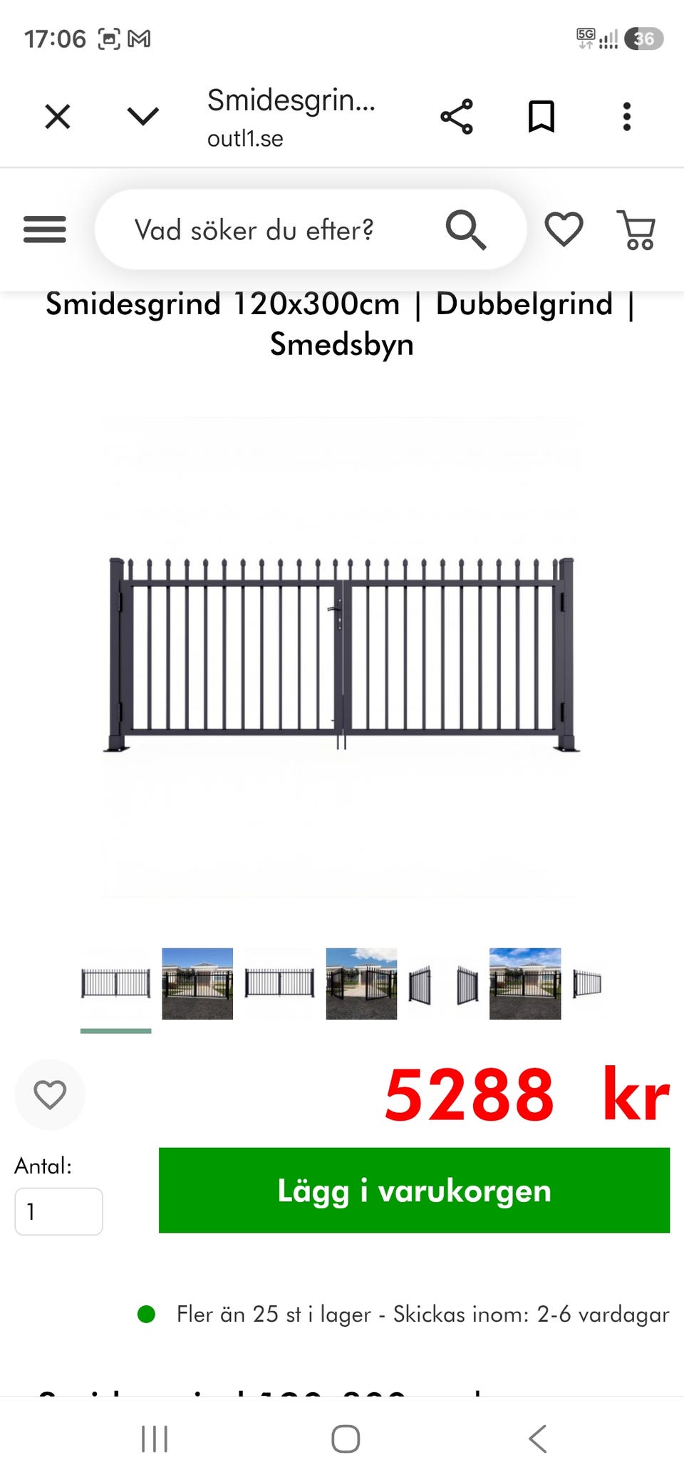 Galleribild
