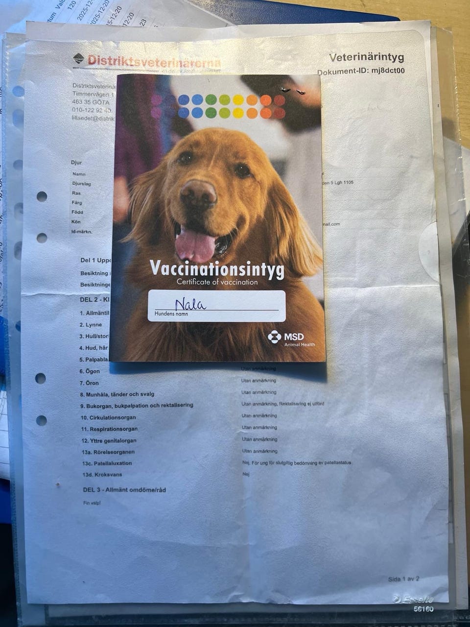 Galleribild