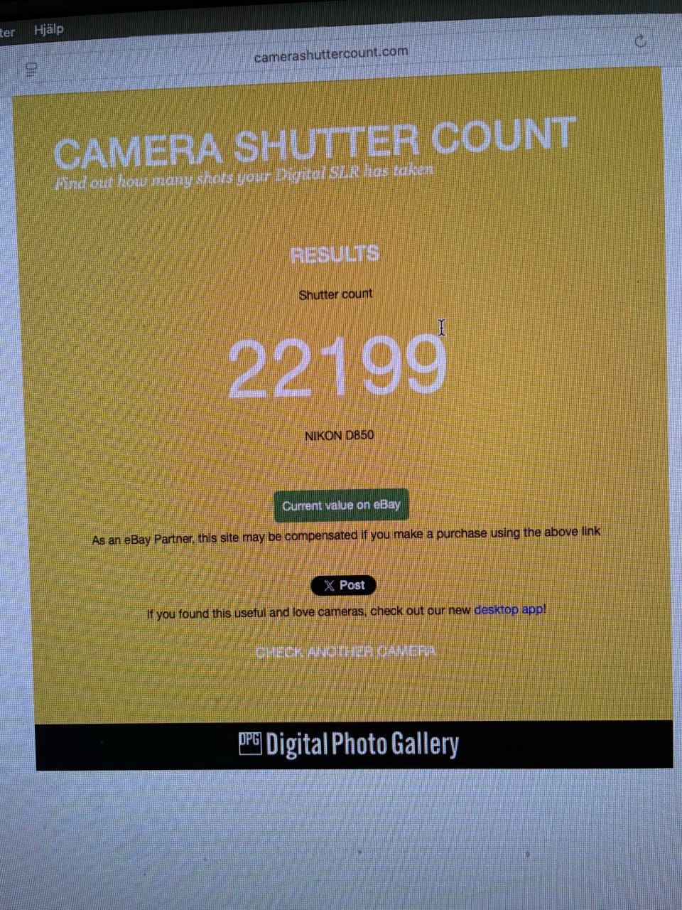 Galleribild