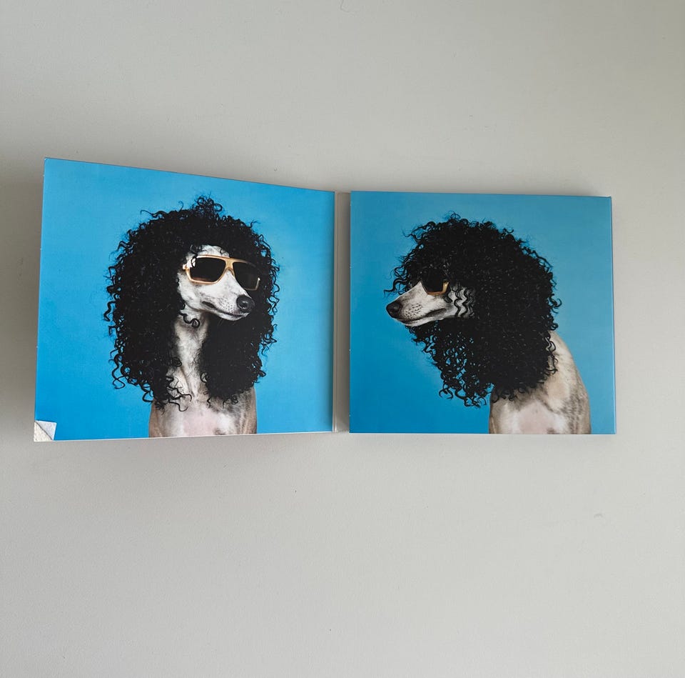Galleribild