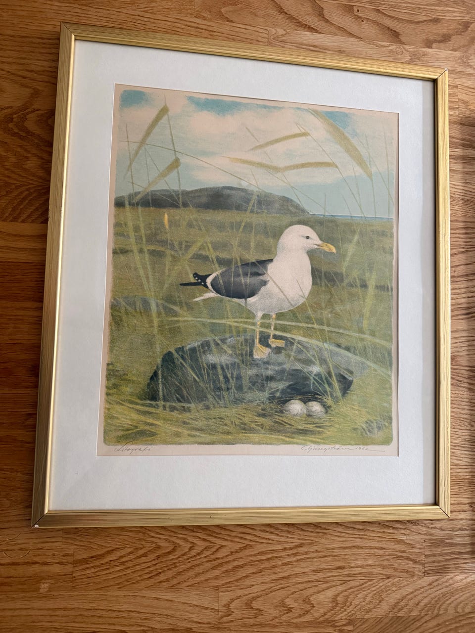 Galleribild