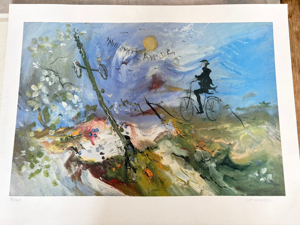 Galleribild