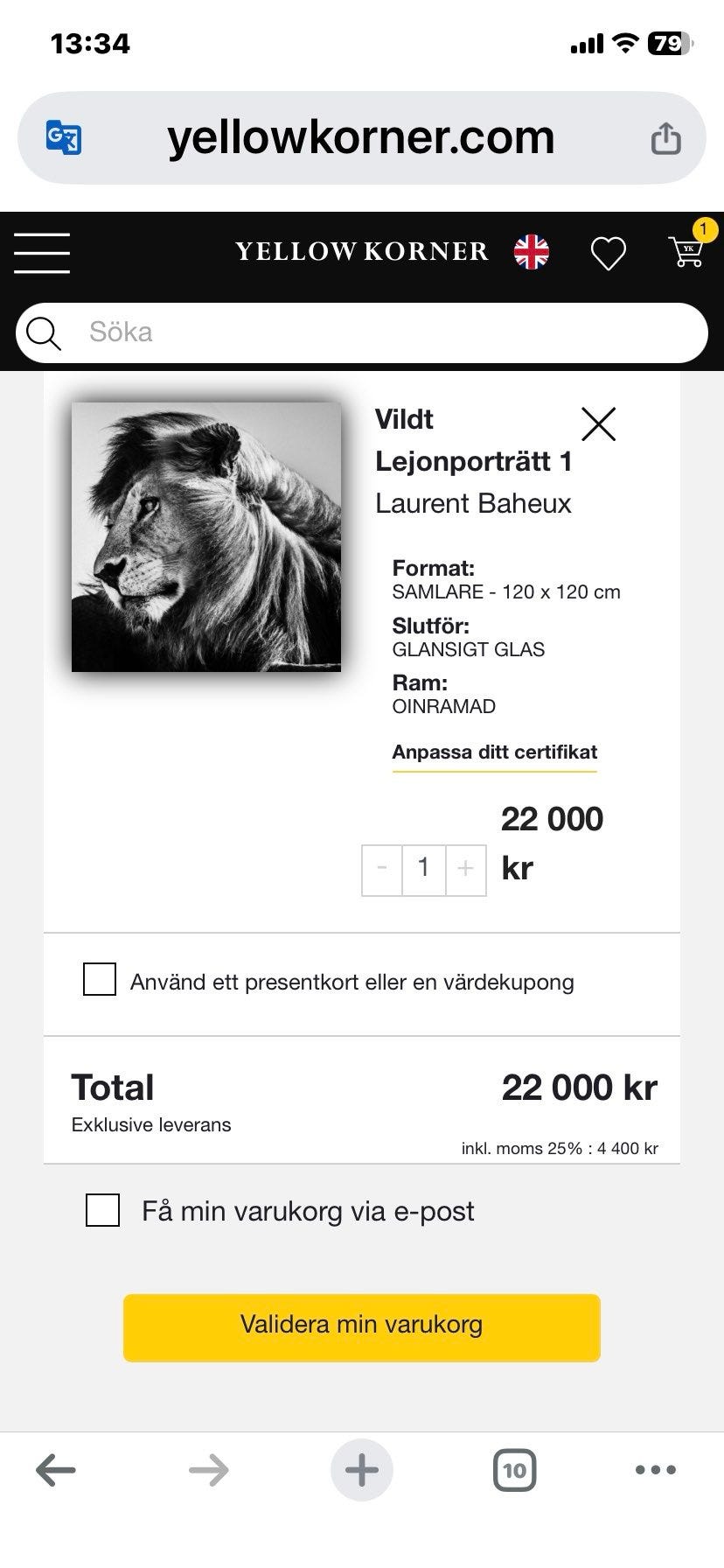 Galleribild