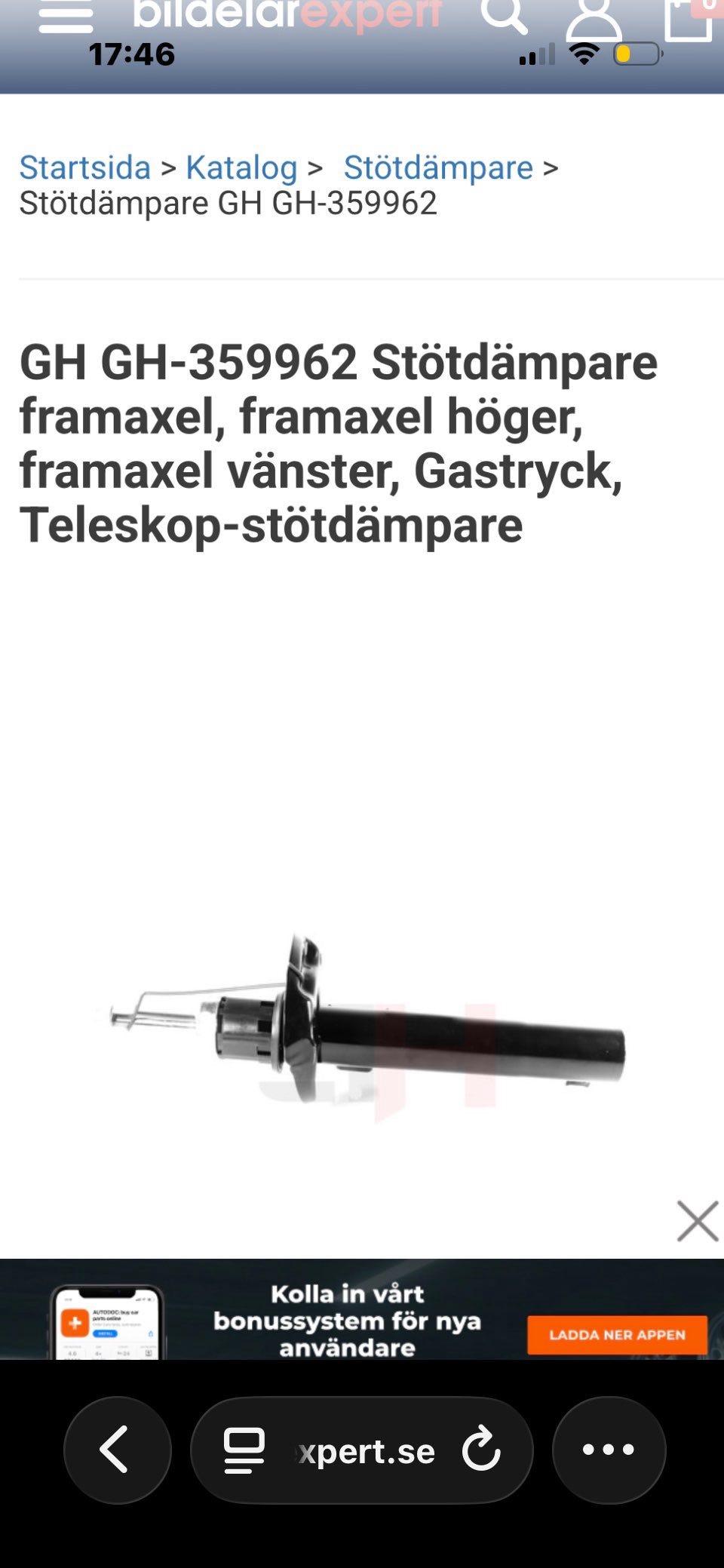 Galleribild