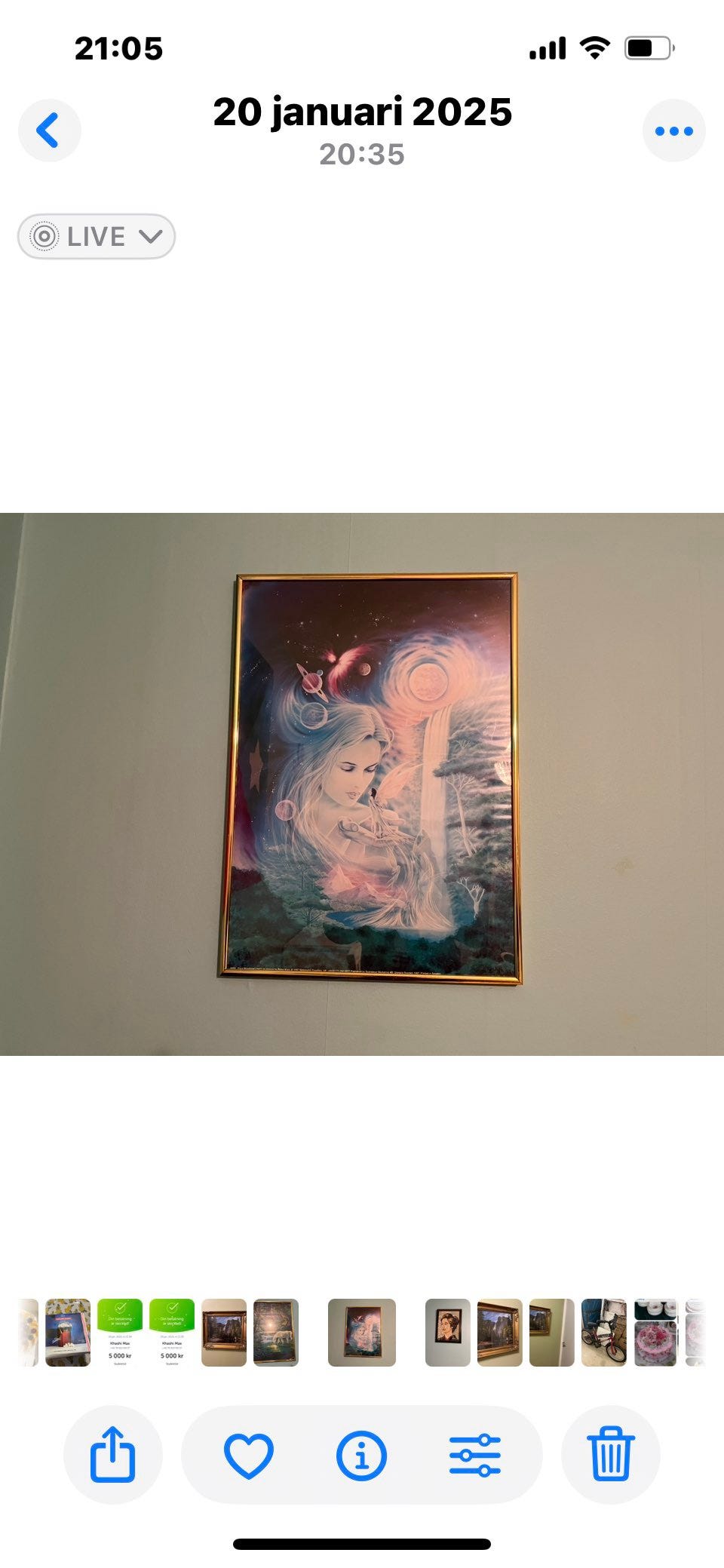 Galleribild