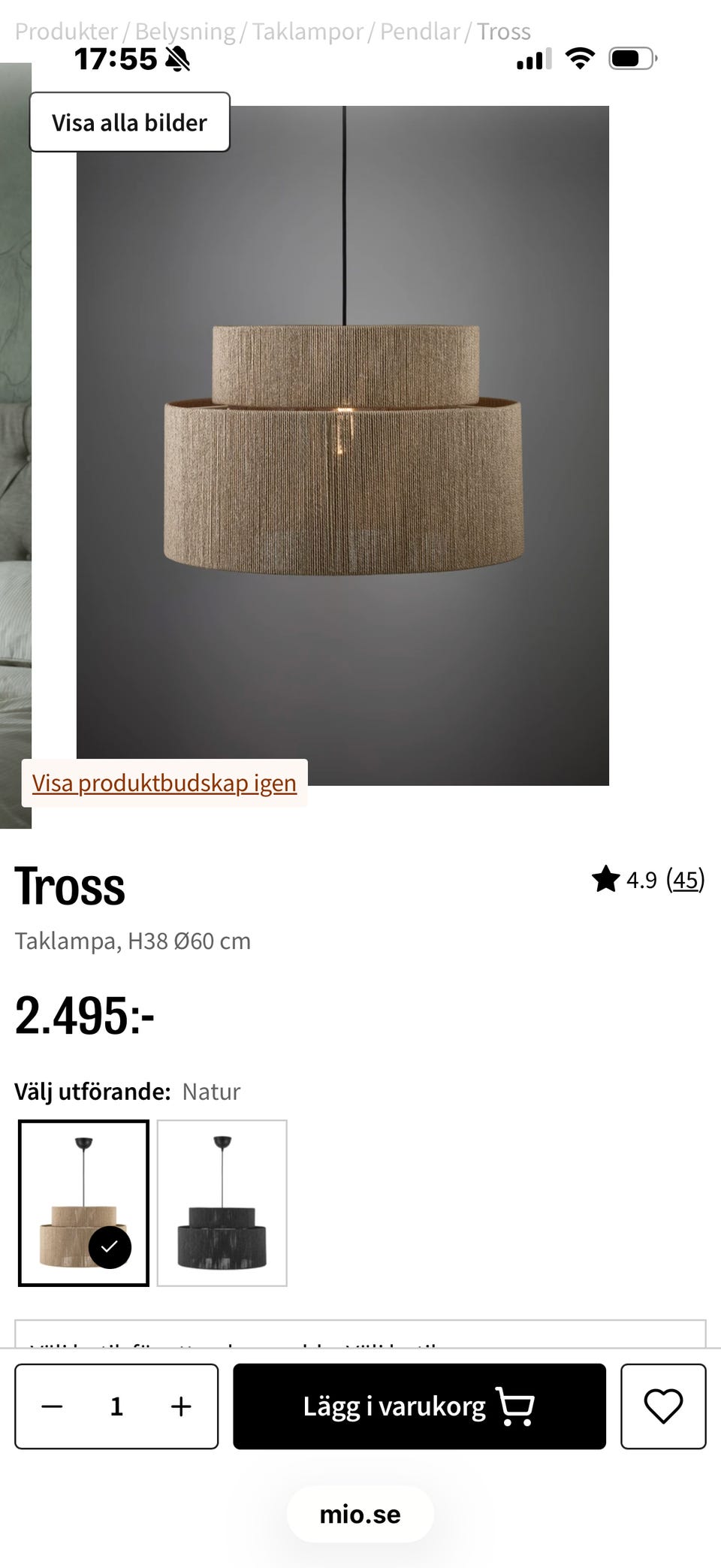 Galleribild