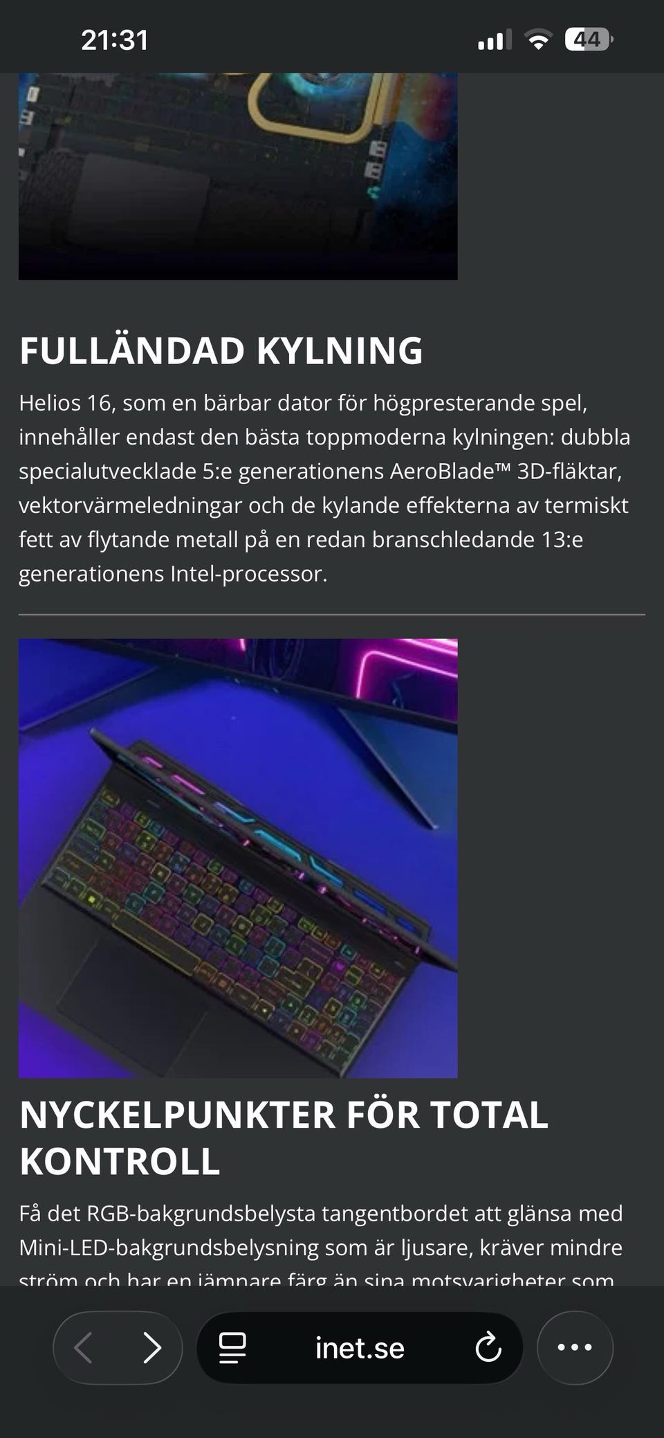Galleribild