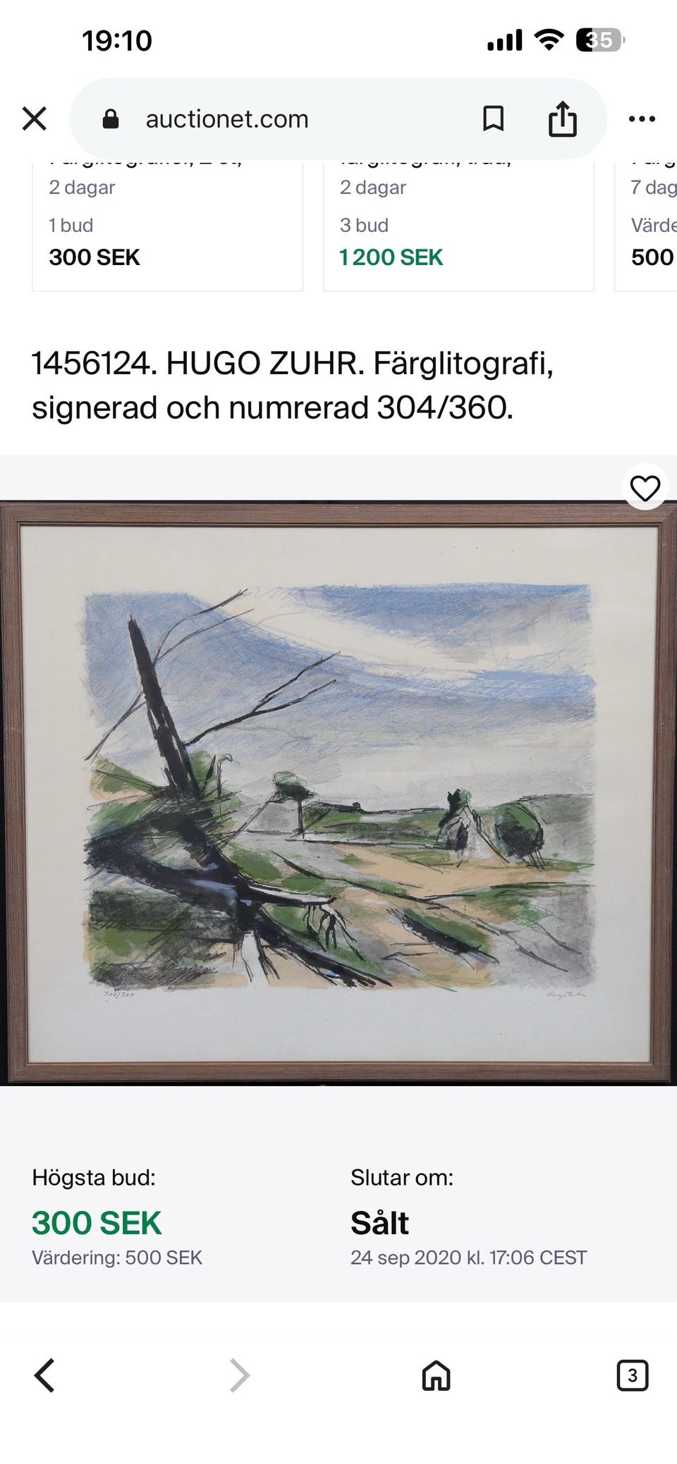 Galleribild