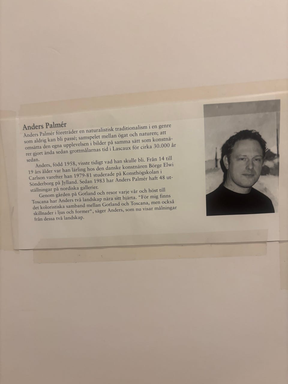 Galleribild