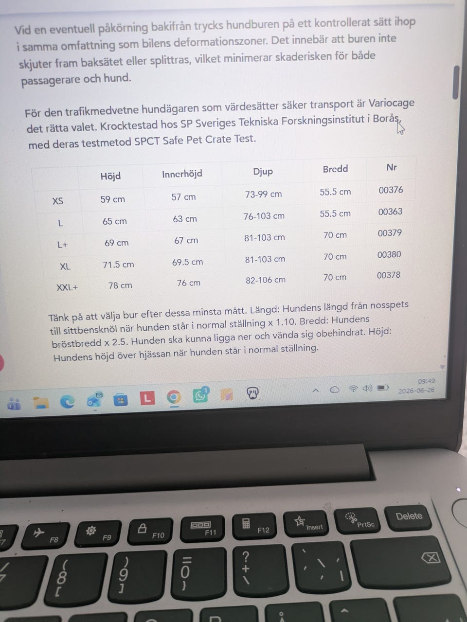 Galleribild