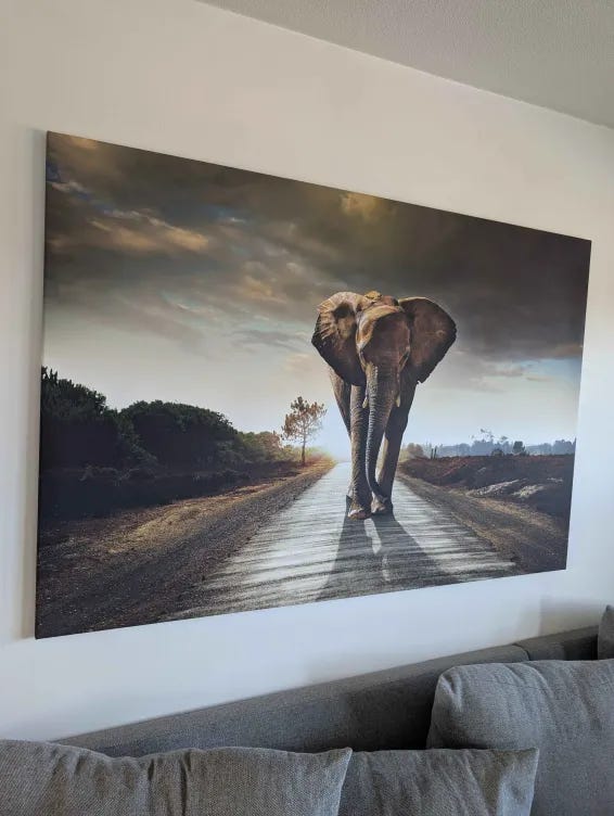 Galleribild