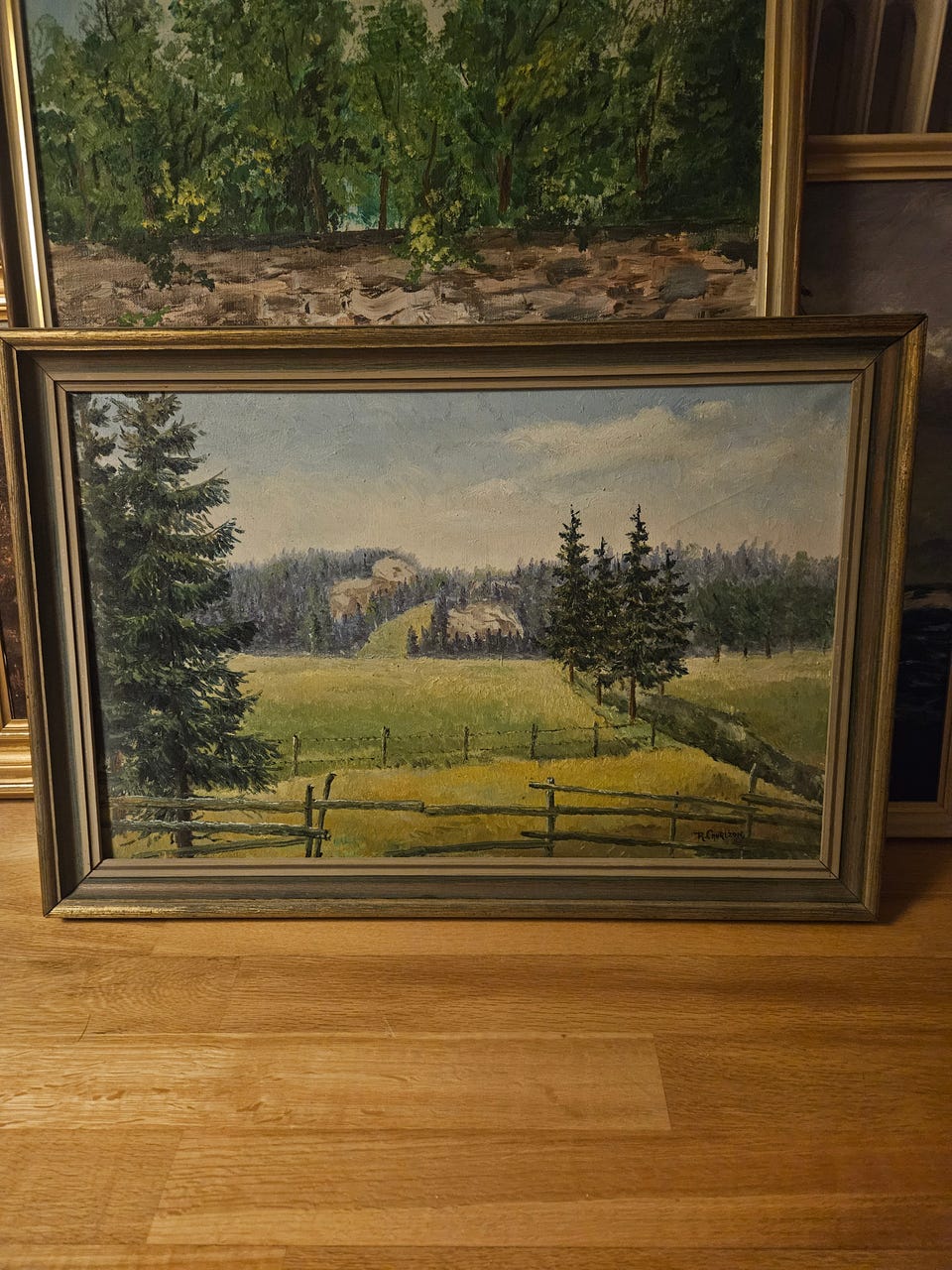 Galleribild