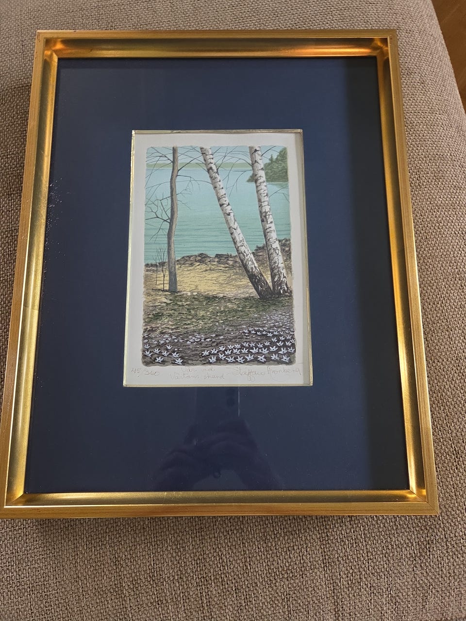Galleribild