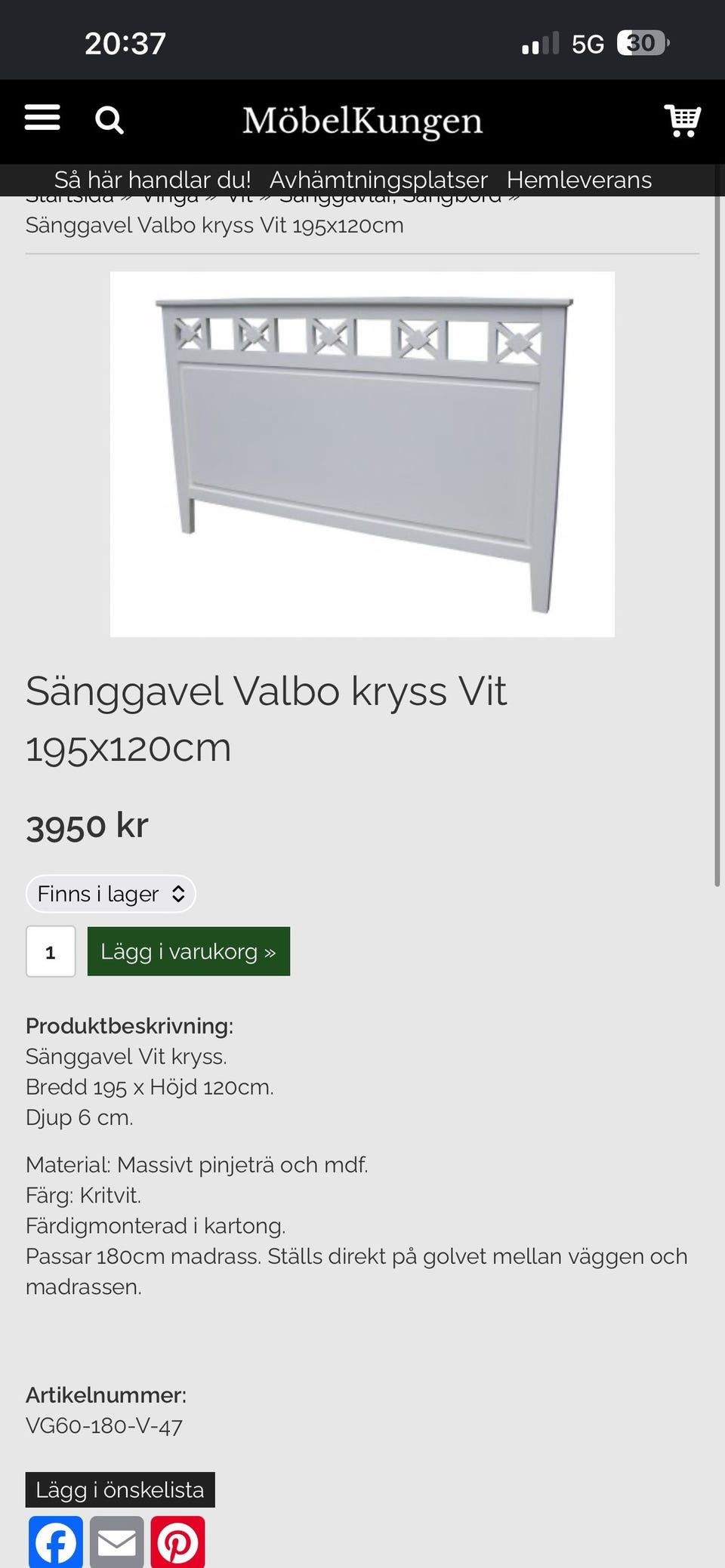 Galleribild
