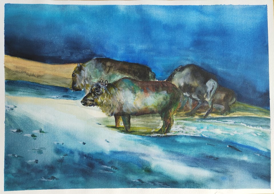 Galleribild