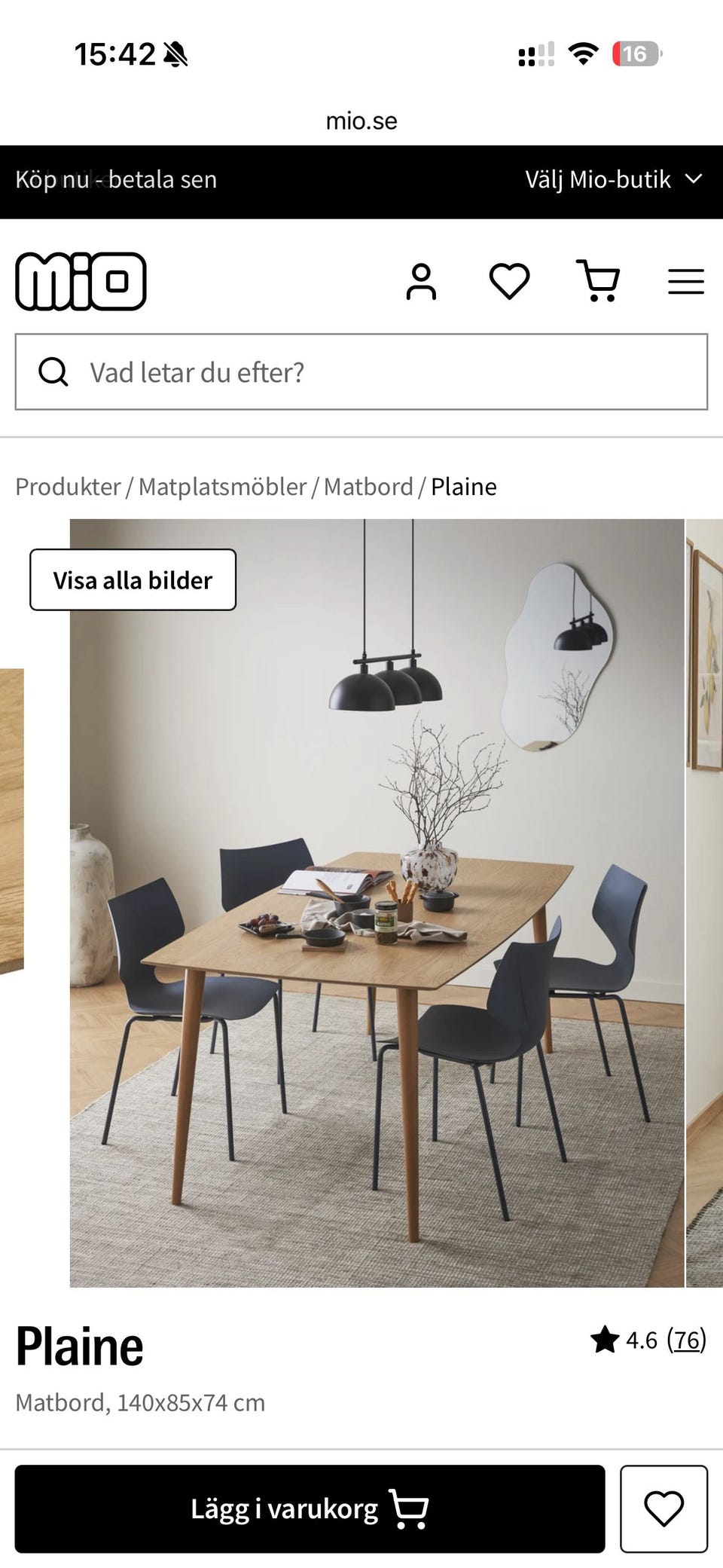 Galleribild
