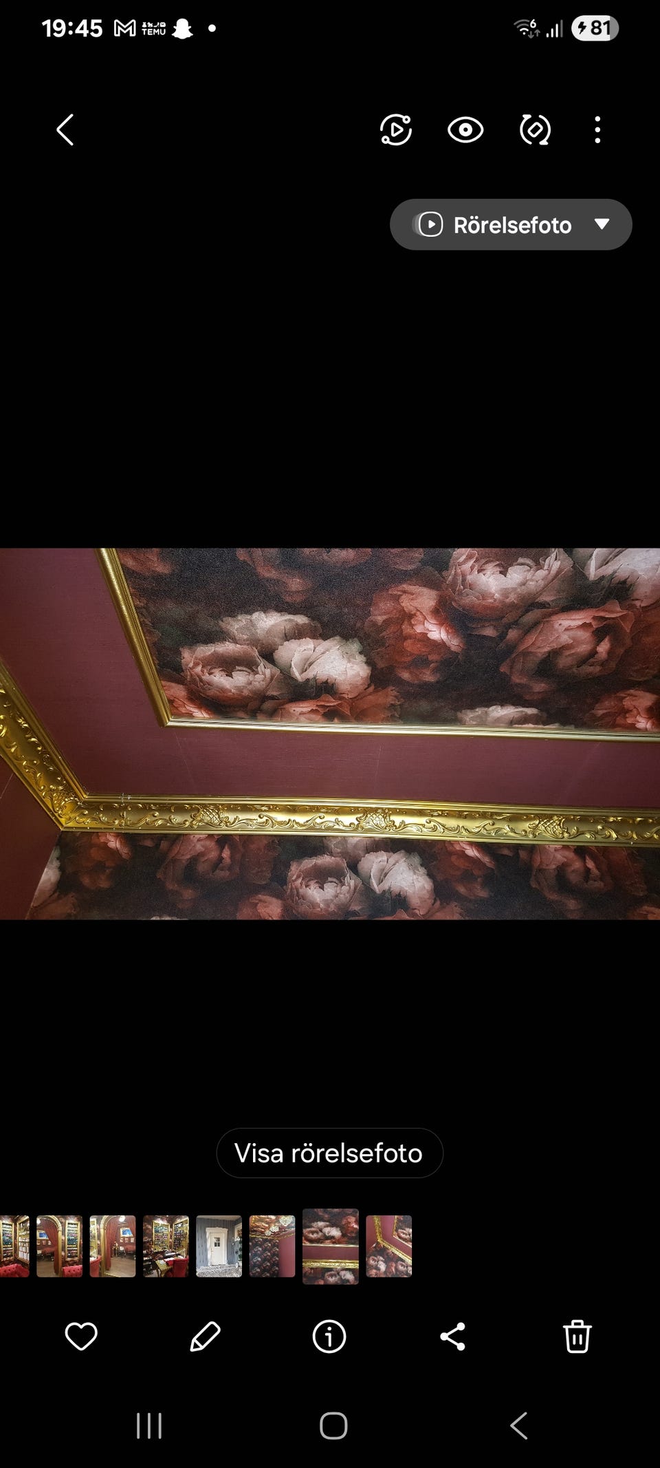 Galleribild