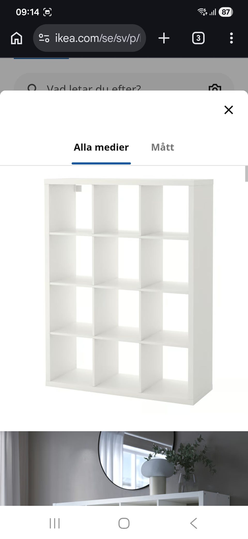 Galleribild
