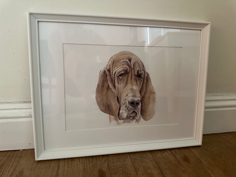 Galleribild