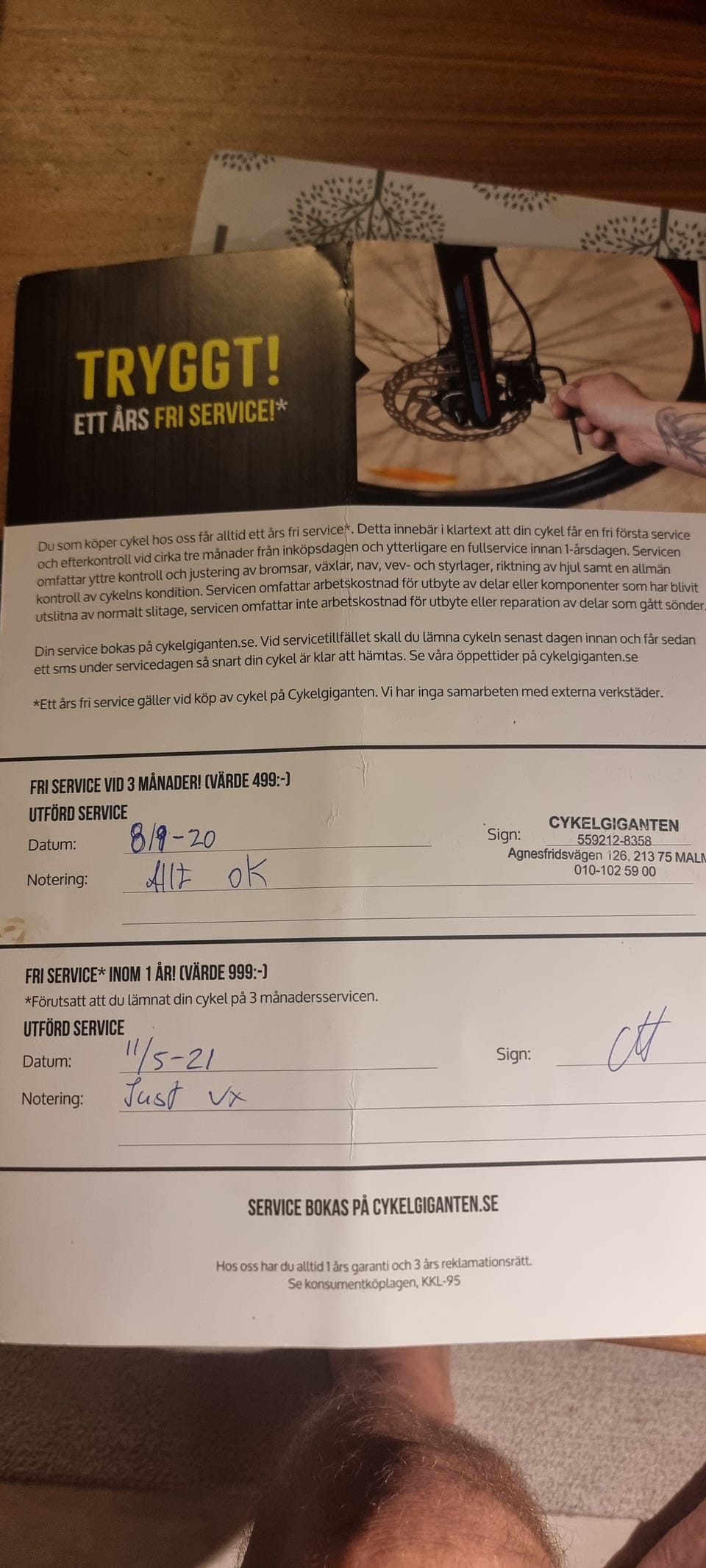 Galleribild