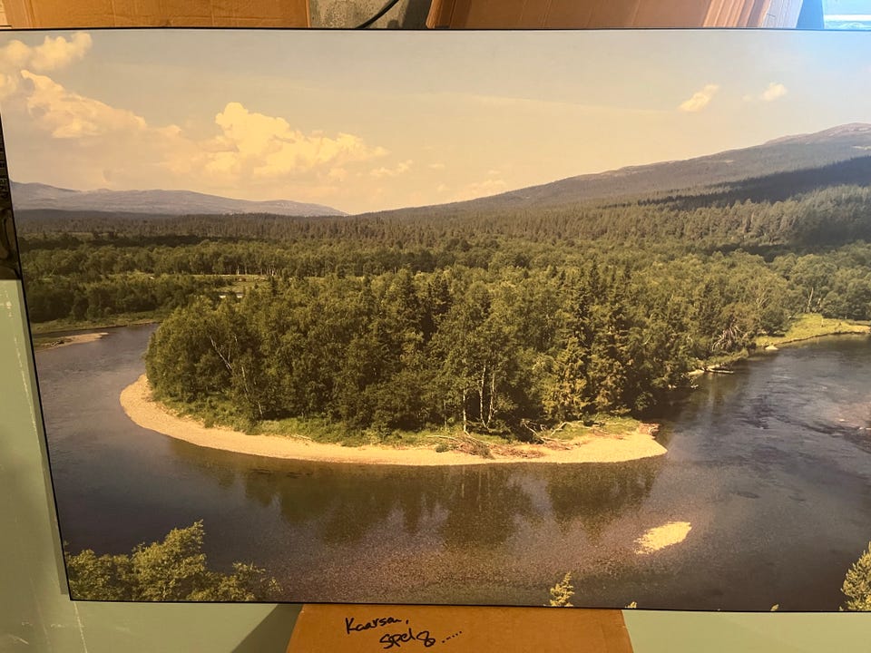 Galleribild