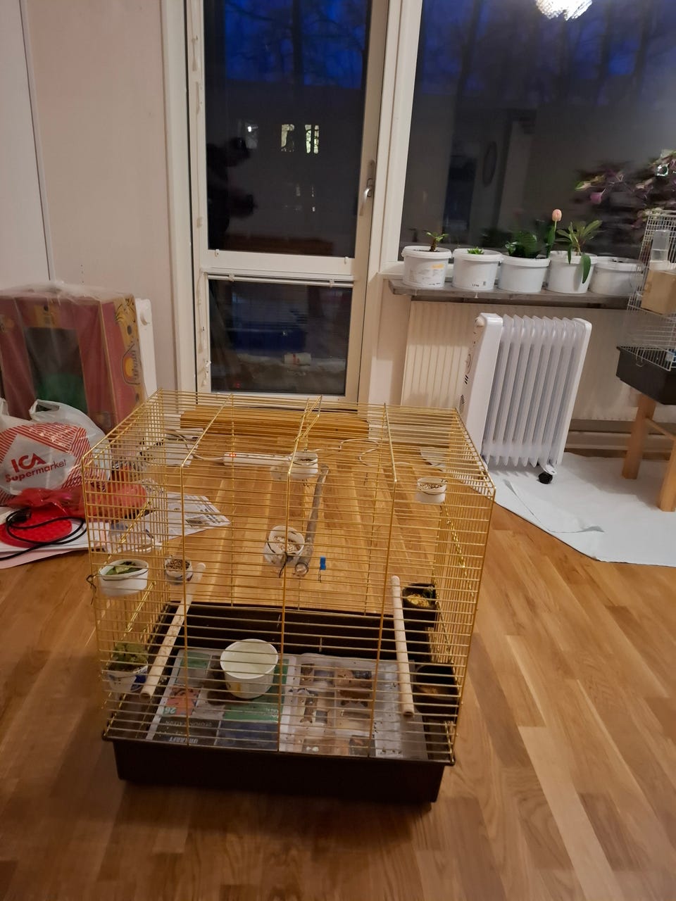 Galleribild