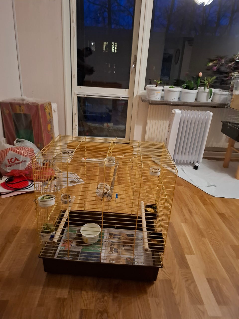 Galleribild