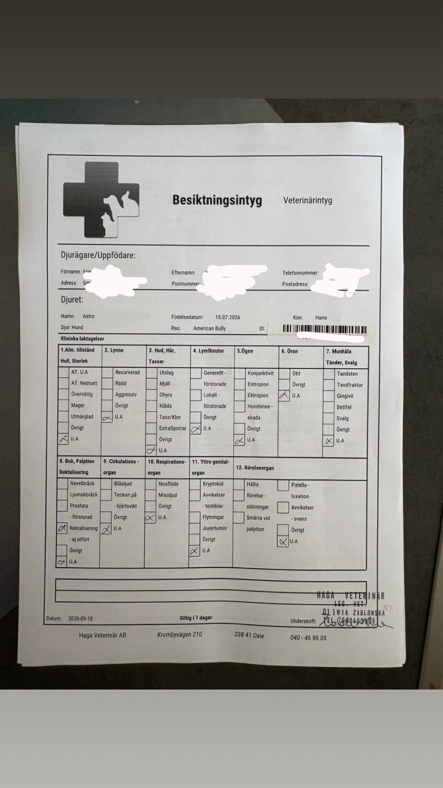 Galleribild