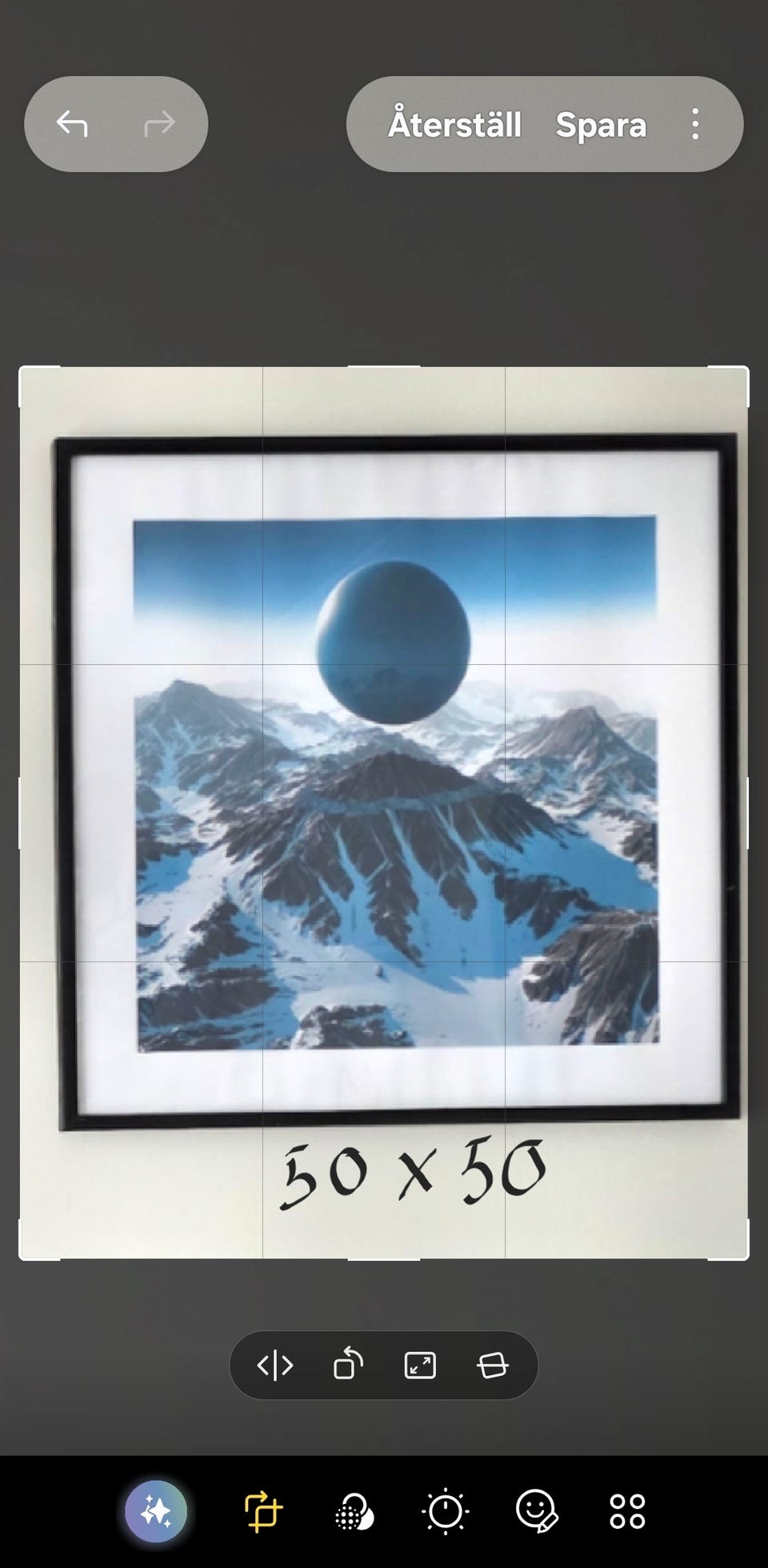 Galleribild